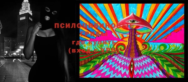соль курить ск Козловка