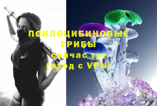 мет Козельск