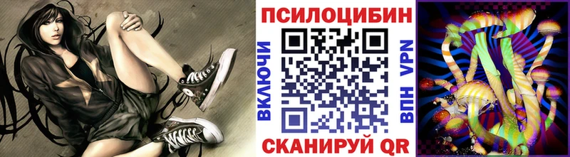 Галлюциногенные грибы мухоморы  Купить закладки  Северобайкальск 